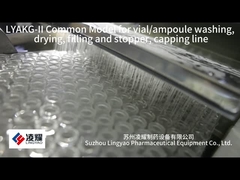 LYAKG- II 투여약, 앰풀 컴팩트 라인